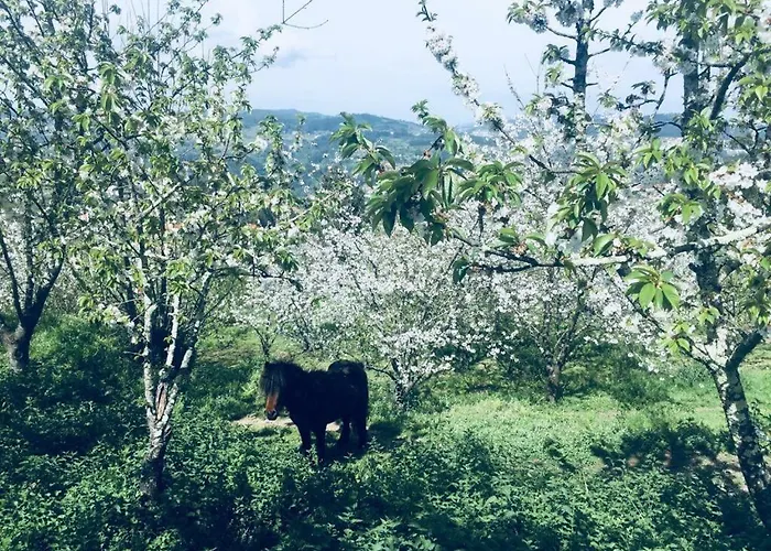 Casa Rural Da Costeira * 친파에스